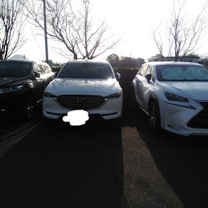 NX AYZ15