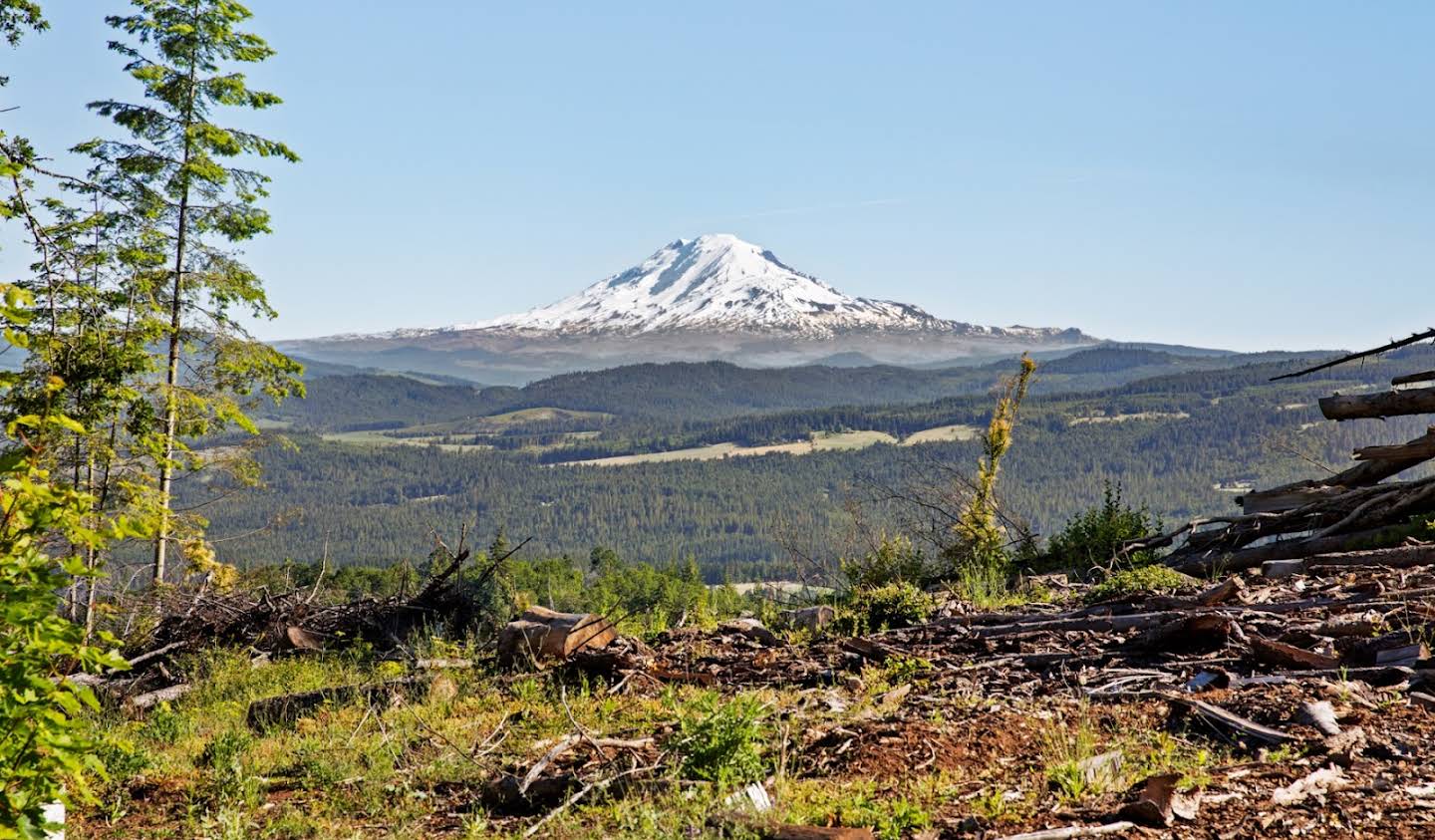 Terrain White Salmon