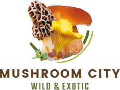 Mushroom City