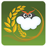 SkyGreen icon