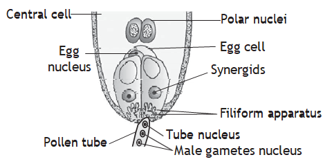 Solution Image