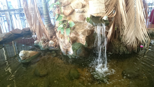 Frog Fountain 