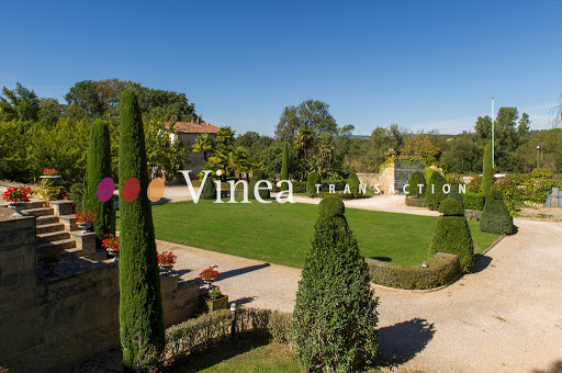 Vineyard with pool and outbuildings 4