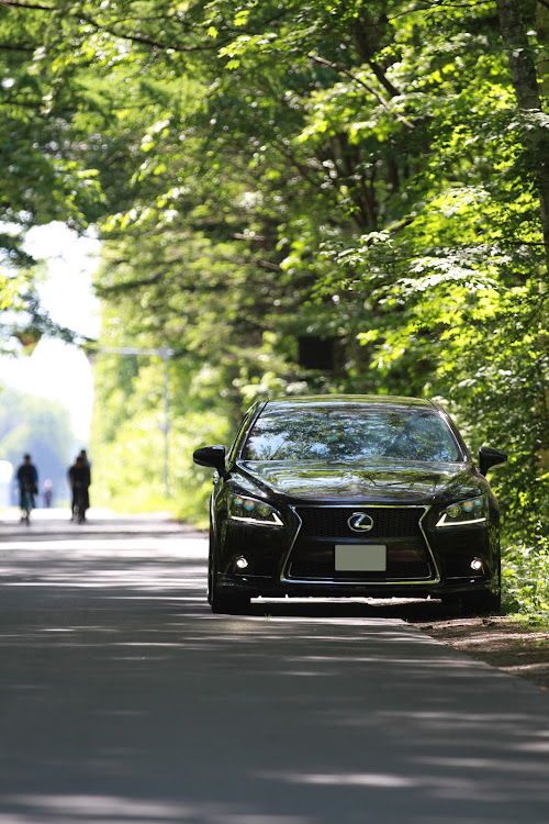 LSの新緑と愛車・over50c・discover＿ct・北海道十勝帯広市に関するカスタム事例の投稿画像1枚目