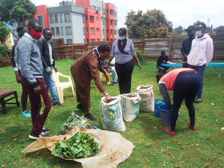 County government economic adviser Njoki Wamitugo (brown suit) shows youths how to plant vegetables in a bag at Kinoo chief's office in Kikuyu constituency.