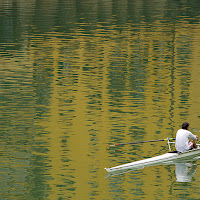 Vogando... in direzione contraria! di Francesca Malavasi