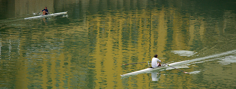 Vogando... in direzione contraria! di Francesca Malavasi