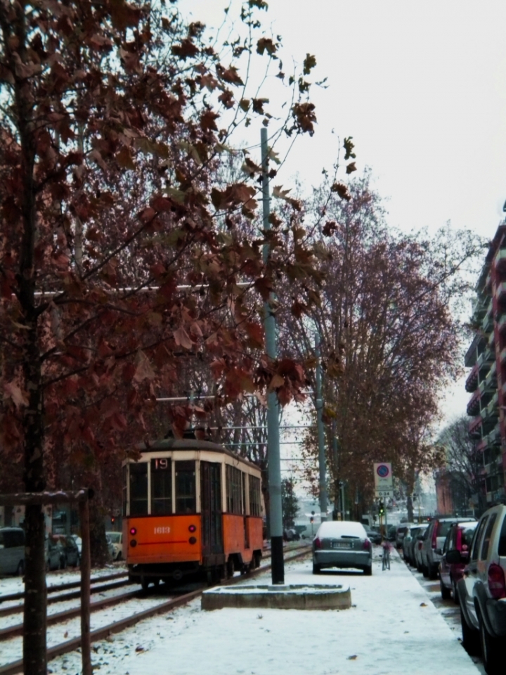 Un tram chiamato desiderio di namaste65