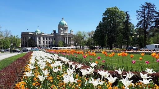 Obradović (SSP): Plan 'Pokreni Beograd 2030.' za razvoj potencijala glavnog grada