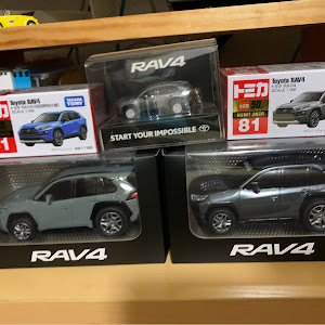 RAV4 MXAA54