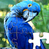 Jigsaw Puzzles - Puzzle Games icon