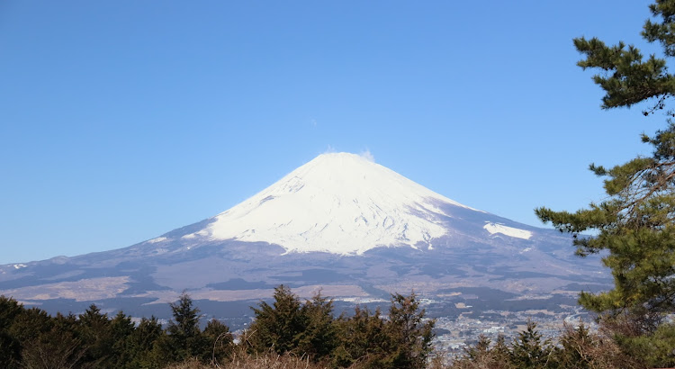 の投稿画像3枚目