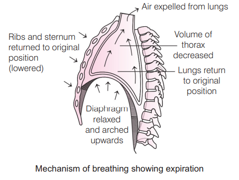 Solution Image