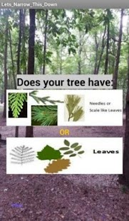 How to get Indiana Trees patch 1.1 apk for bluestacks