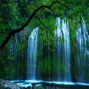 Green Waterfall Live Wallpaper