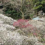 熱海碳烤海產屋