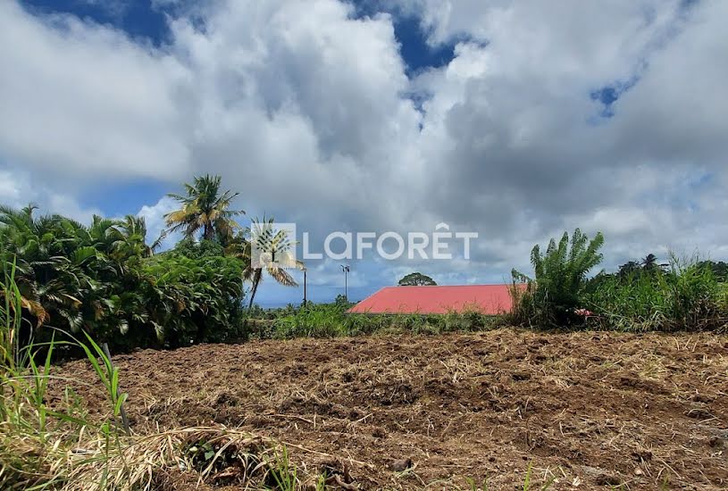  Vente Terrain à bâtir - à Basse-Pointe (97218) 