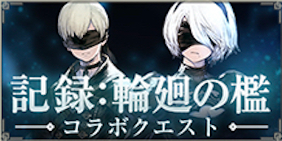 演出 ニーア リィン カーネーション ガチャ