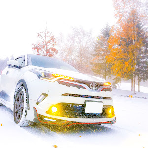 C-HR NGX50
