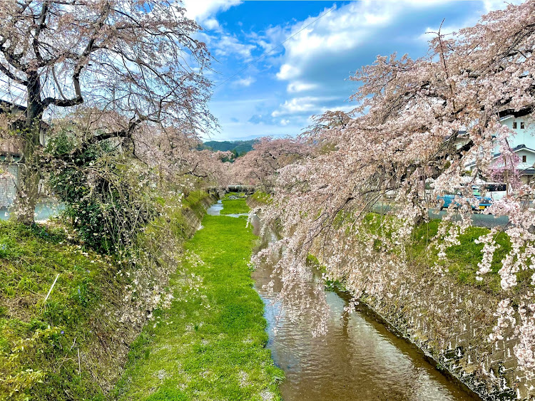 の投稿画像6枚目