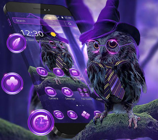 Magic Purple Cartoon Owl Theme