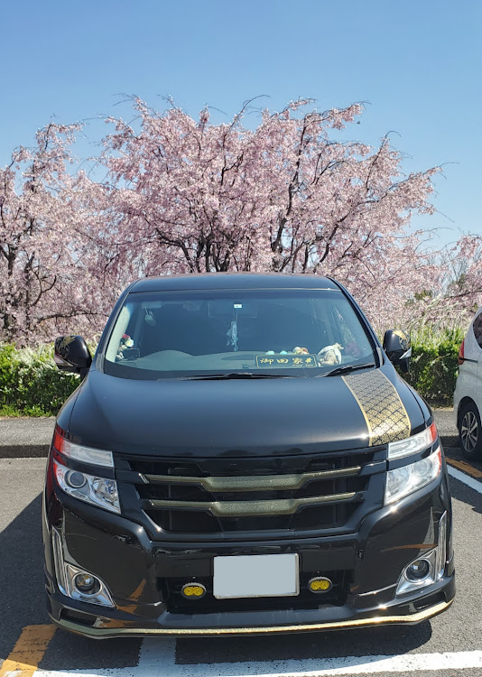 エルグランドのローガン&御田家🍢・桜コラボ🌸・進撃の巨人壁・四十路には無理・ヒール&スカートはヤバいに関するカスタム事例の投稿画像1枚目