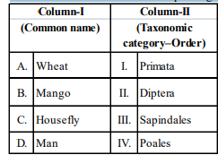 Classification