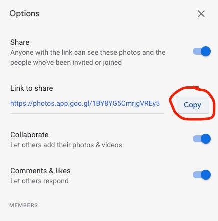 users cannot see google photos on wordpress site