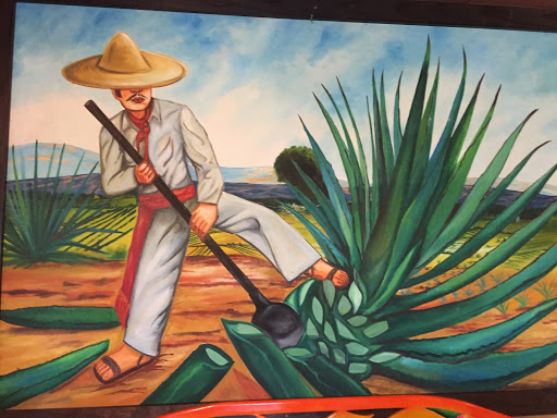 Agave Mural
