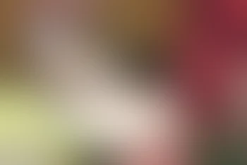 腐 ( 姫 ) 男 子 の 俺 は 何 故 か 攻 め ら れ る ！ ？