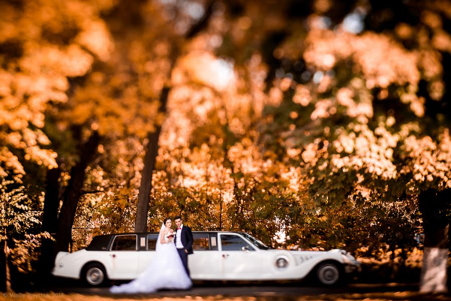 Düğün fotoğrafçısı Vasiliy Shevchuk (shevchuk). 7 Mart 2015 fotoları