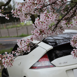 CR-Z ZF1
