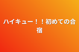 ハイキュー！！初めての合宿