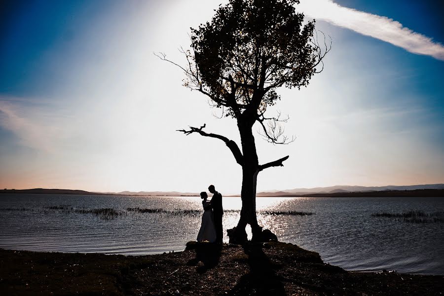 Fotógrafo de casamento Natasha Zabavina (zabavinatasha174). Foto de 22 de dezembro 2016