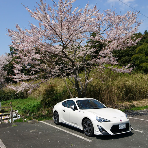 SPAMのプロフィール画像