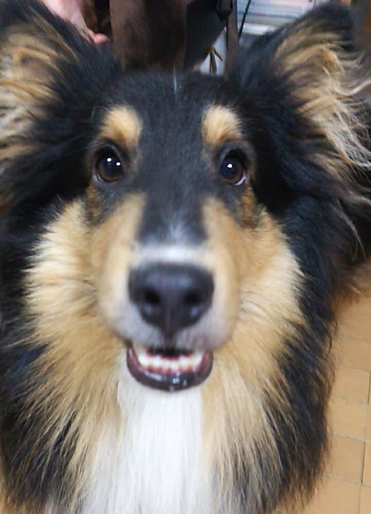 RX-7の天一MT計画中…・今年は泣かない！・お年玉受付中・ろうじ～さんとaschさんは多分本当に私のファン・大好きなもので埋め尽くしたいに関するカスタム事例の投稿画像5枚目