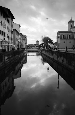 Canale di @pacolinus