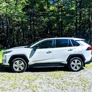 RAV4 AXAH54