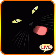 Black Cat Live Wallpaper  Icon