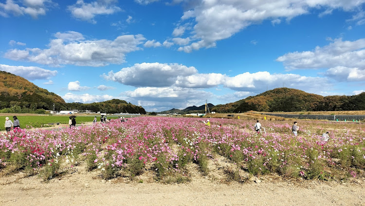 の投稿画像8枚目