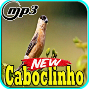 Canto de Caboclinho Brasil Mp3  Icon