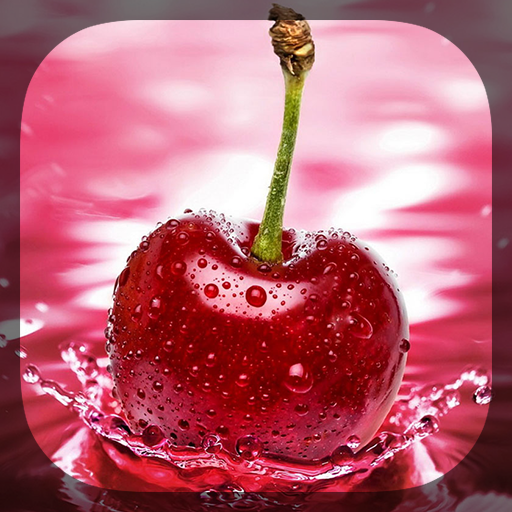 Macro Photos Live Wallpaper