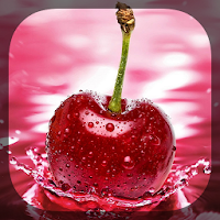 Macro Photos Live Wallpaper