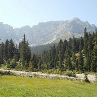 alpi di 