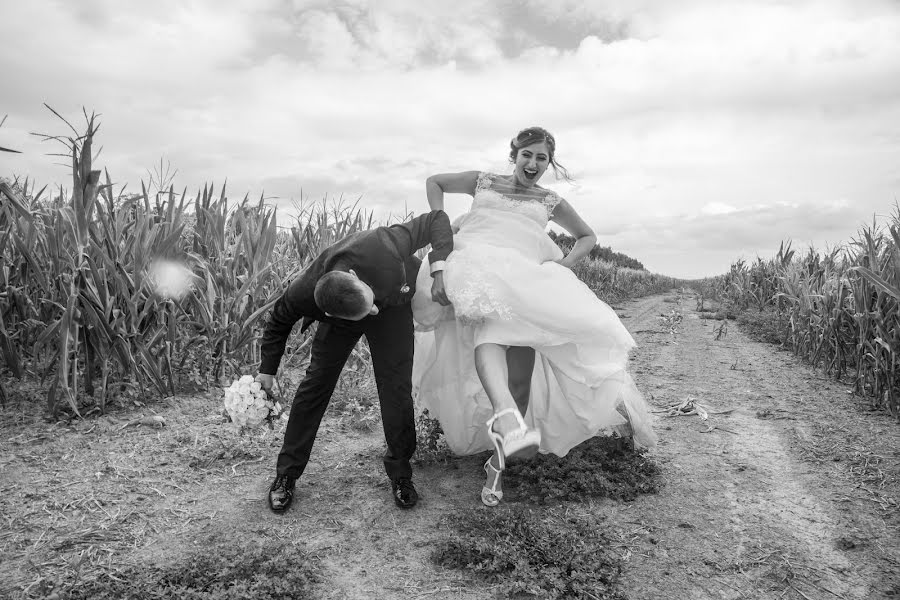 Fotógrafo de bodas Elisabetta Figus (elisabettafigus). Foto del 14 de septiembre 2017