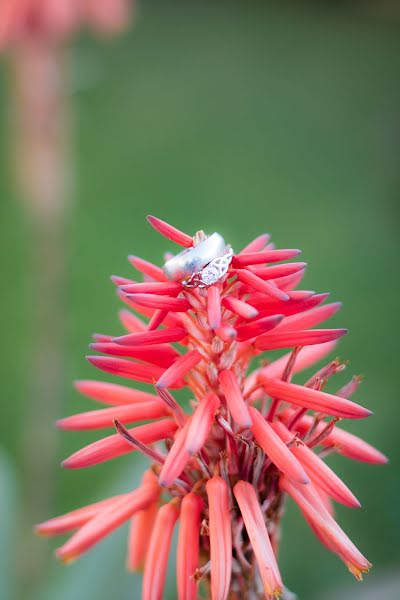 Jurufoto perkahwinan Gerrit Vermeulen (vphotography). Foto pada 15 November 2018