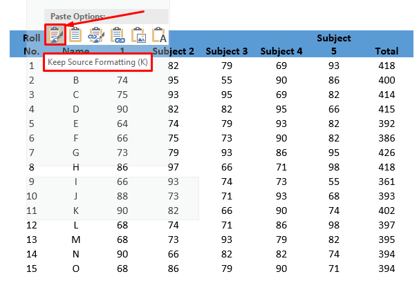 Paste option - Keep Source Formatting