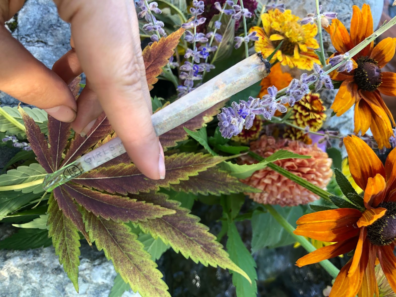 Foto colorida de mão segurando um baseado com piteira de vidro. com fundo de flores diversas, e folhas de maconha