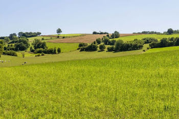 terrain à Montrichard (41)