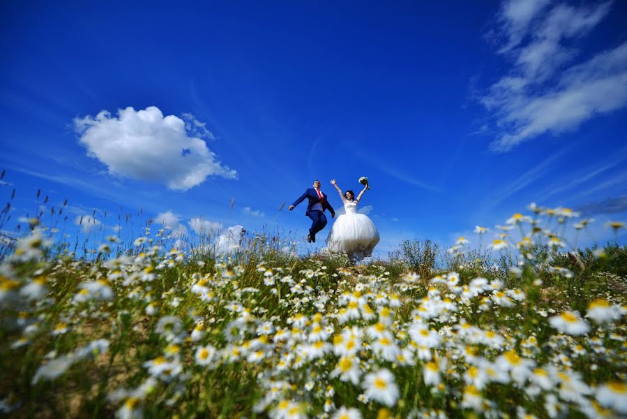 Fotografo di matrimoni Denis Shiryaev (tesey). Foto del 8 novembre 2019